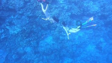 上博东馆启用、海洋神仙节来袭……本周文旅生活指南来了